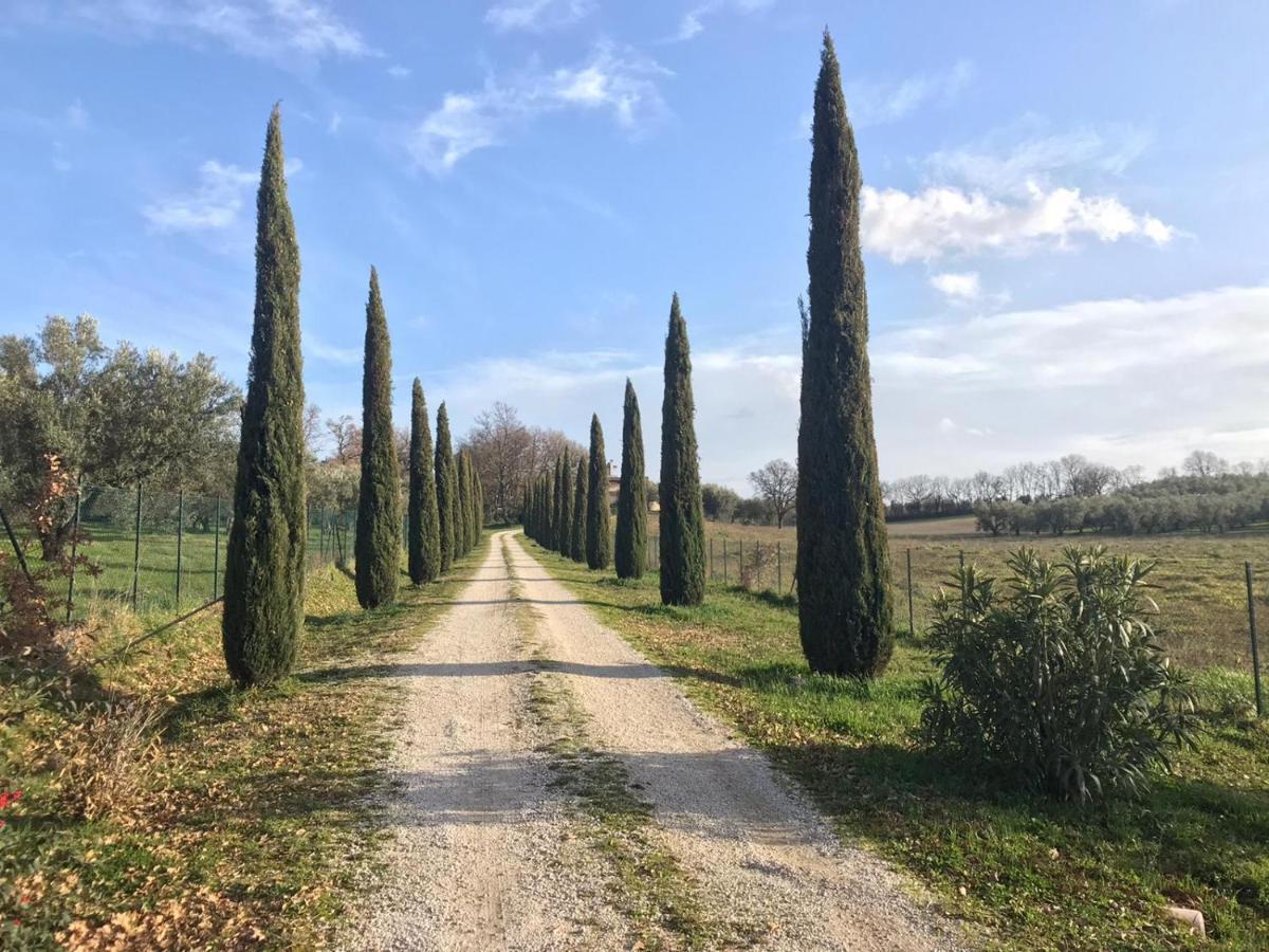 Agriturismo La Lampada Di Atena Vetralla Eksteriør bilde